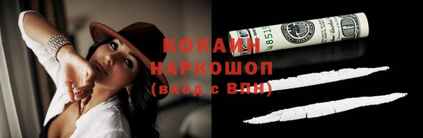 индика Баксан