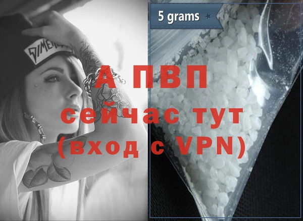 индика Баксан